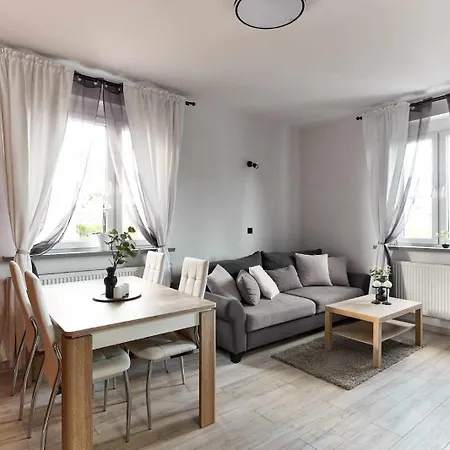Apartament Zelazna Apartment *